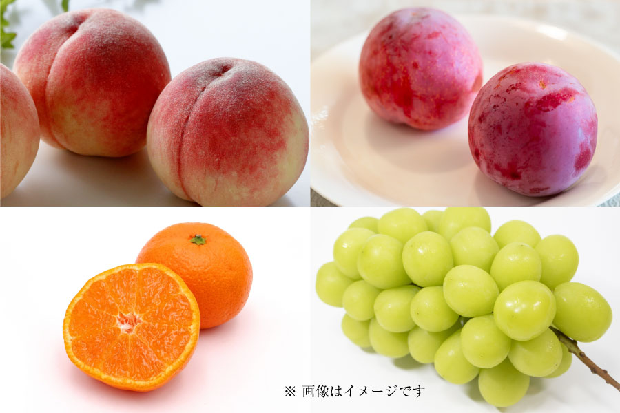 フルーツ定期便Premium7月