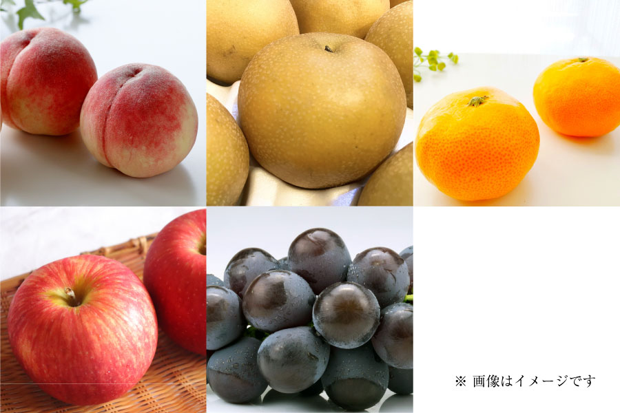 フルーツ定期便Premium8月