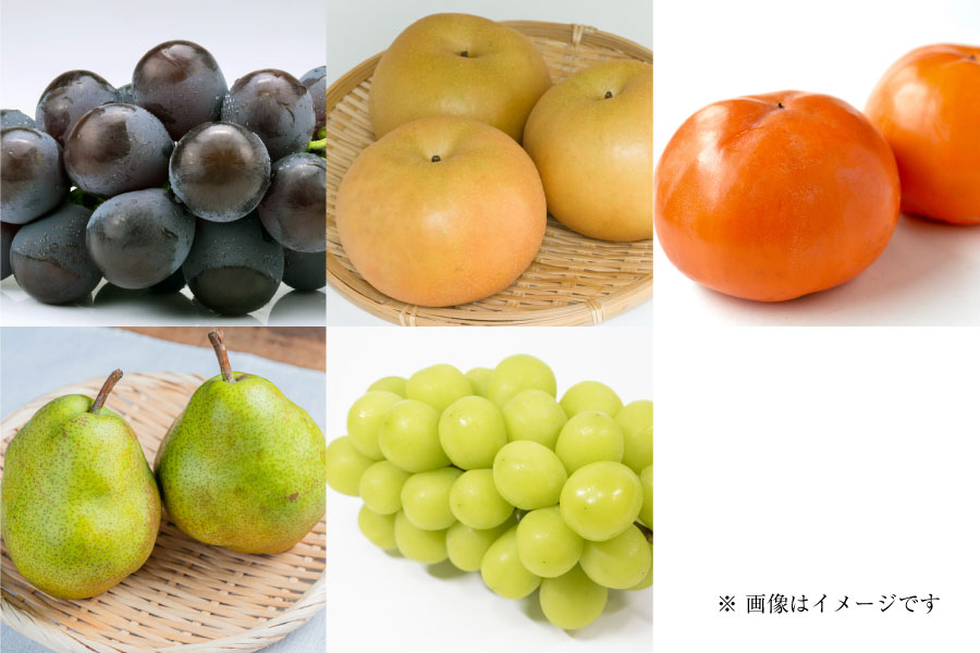 フルーツ定期便Premium10月