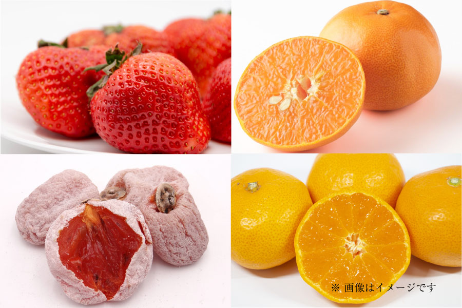 フルーツ定期便Pregular1月