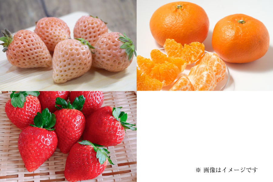 フルーツ定期便Pregular2月