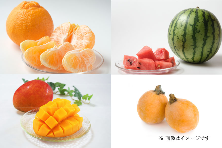 フルーツ定期便Pregular3月
