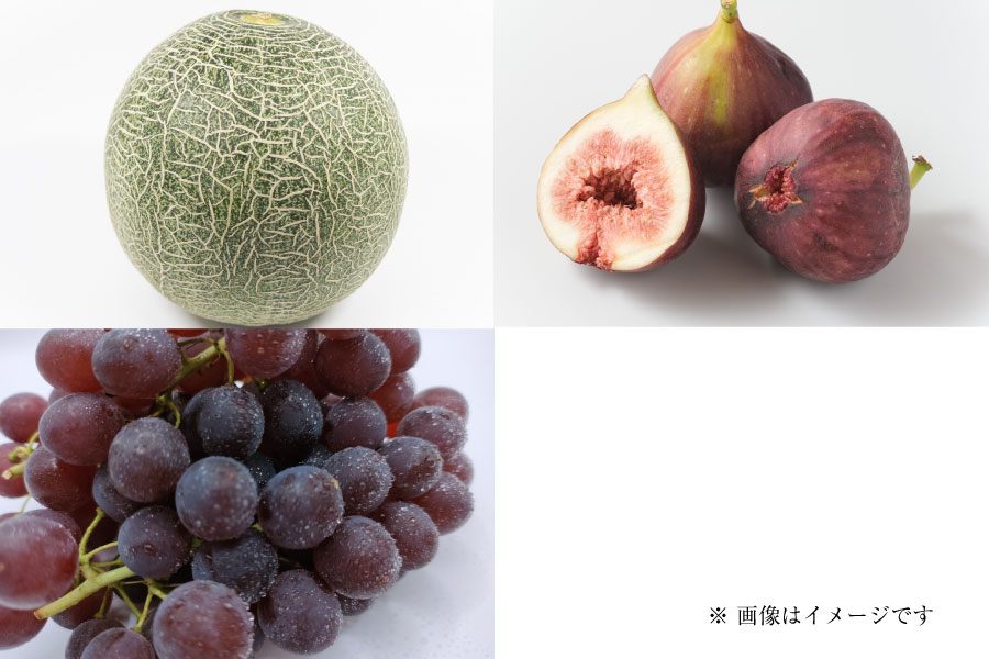フルーツ定期便Pregular5月