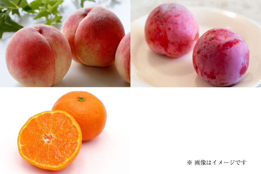フルーツ定期便Pregular7月