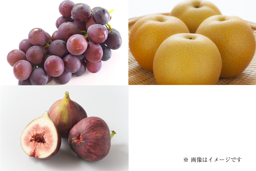 フルーツ定期便Pregular9月
