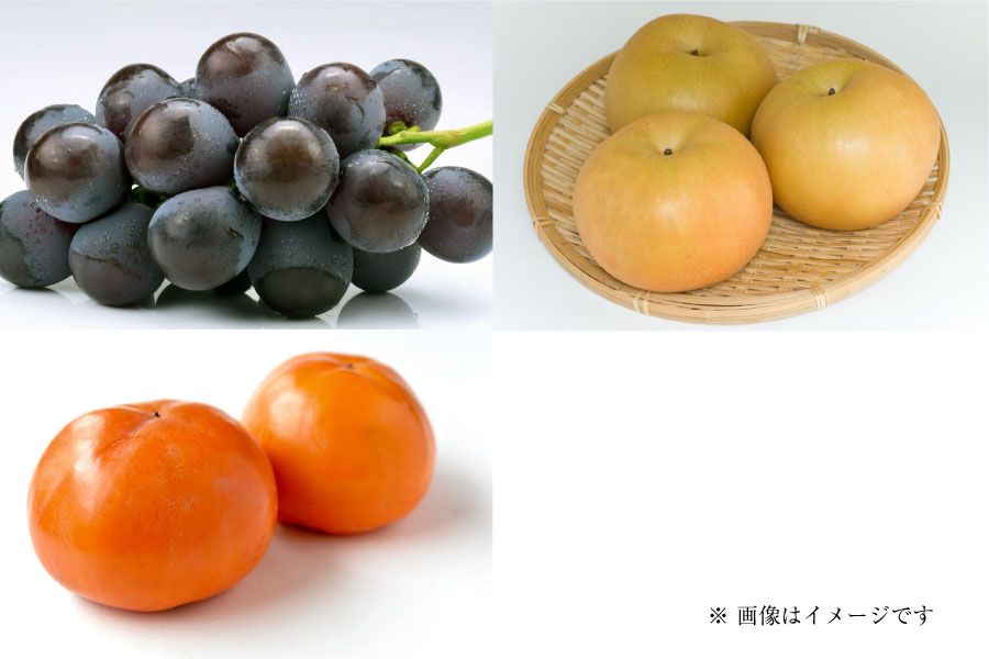 フルーツ定期便Pregular10月