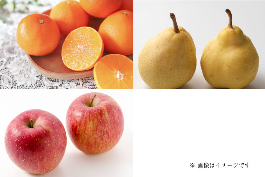 フルーツ定期便Pregular12月