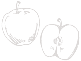 リンゴイラスト