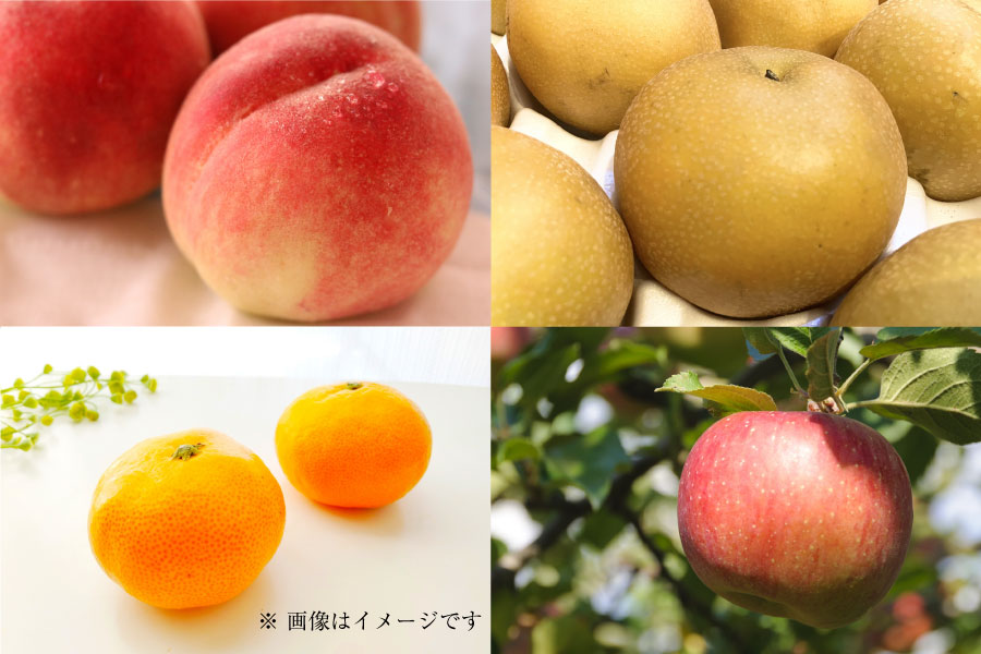 フルーツ定期便regular8月